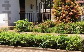 Aivilo Home